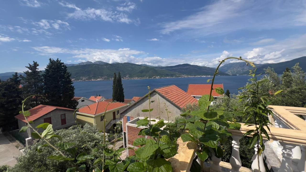 Apartments Arina Krasići 外观 照片